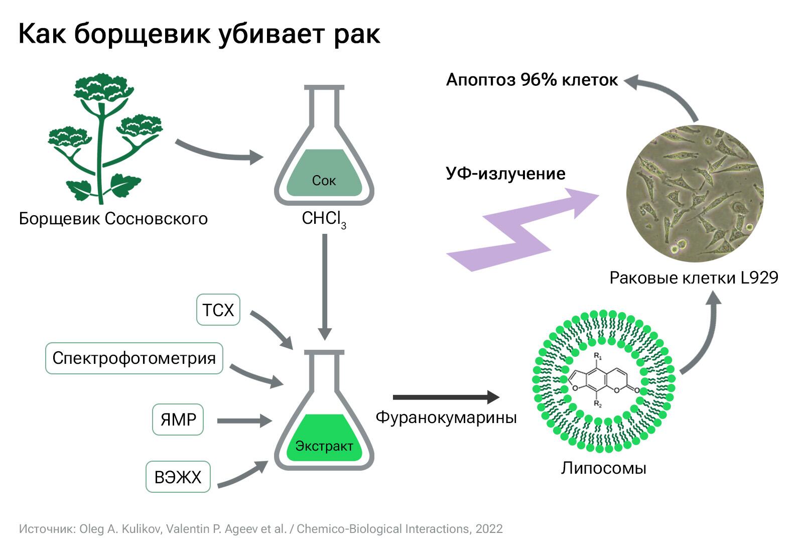 Образование, наука